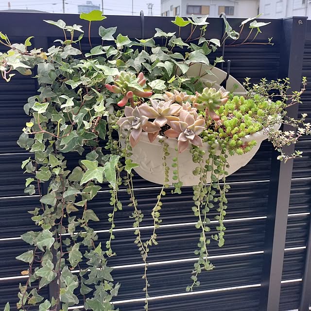 ajisai_chanさんの実例写真