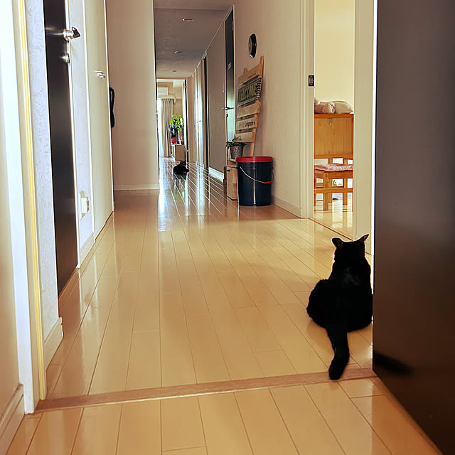 suemonta14さんの実例写真