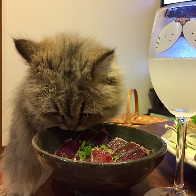 butachanさんの実例写真