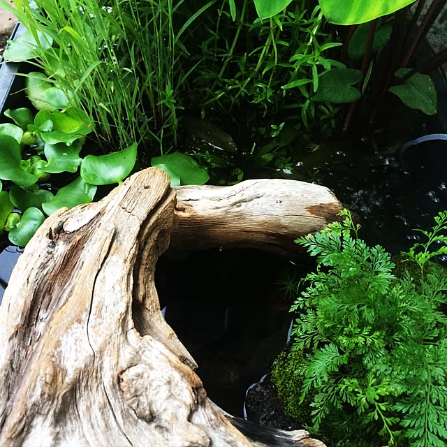 Hiroさんの実例写真