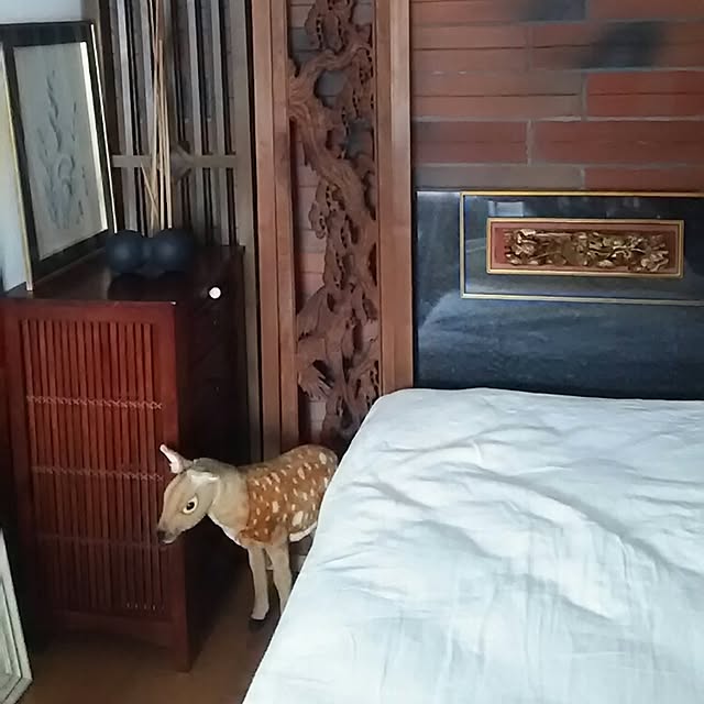 spinetailさんの実例写真