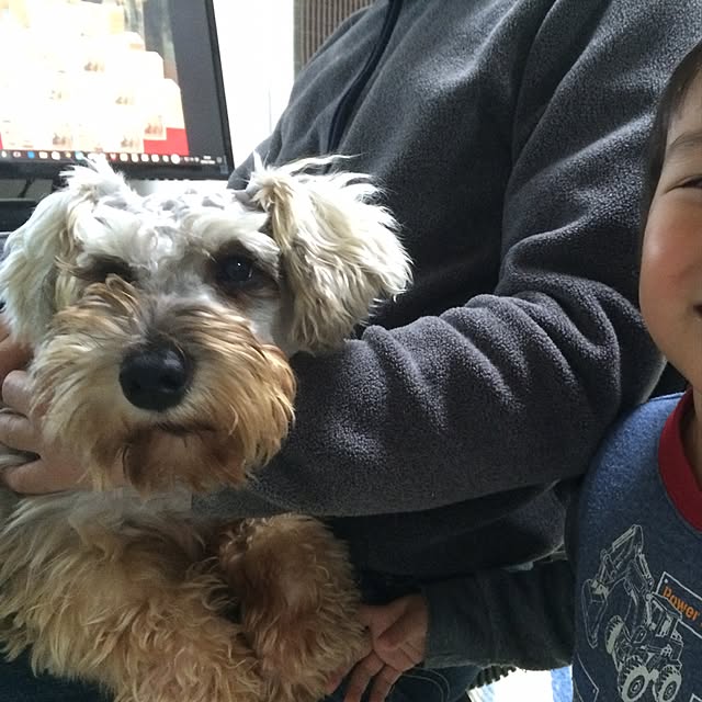 riicolatteさんの実例写真