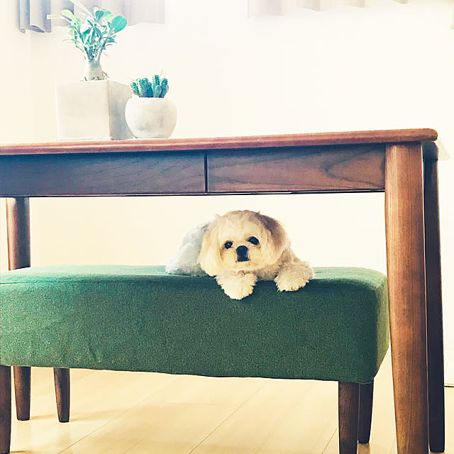 oginoさんの実例写真