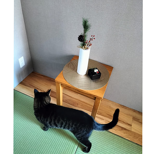 hihaさんの実例写真