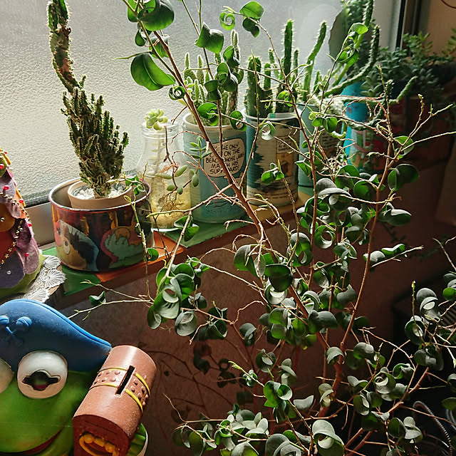 denkoさんの実例写真