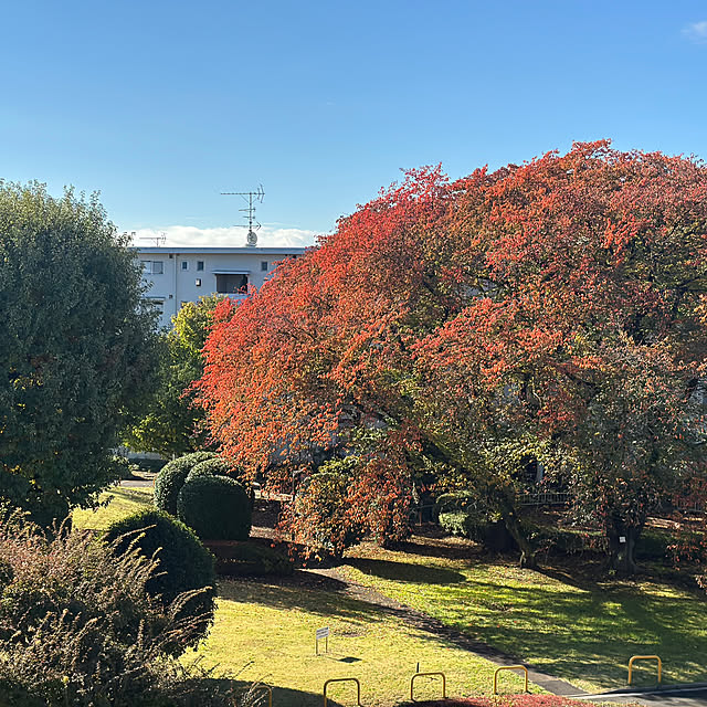 yumibaaさんの部屋