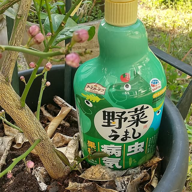 Rさんの部屋