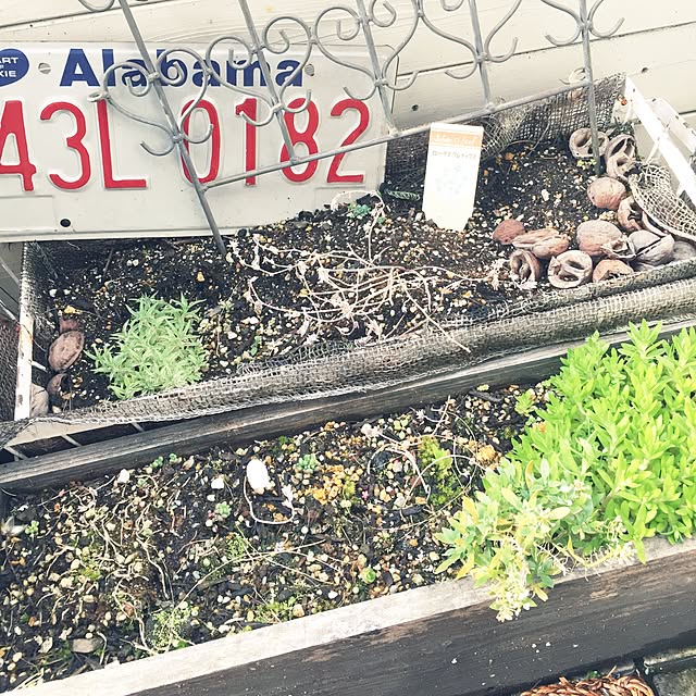 marikaさんの実例写真