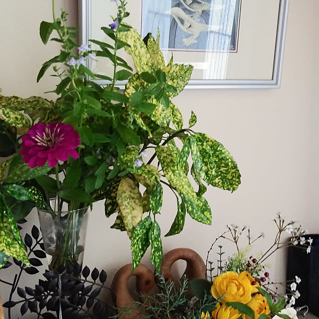 玄関/入り口/観葉植物のインテリア実例 - 2021-07-09 11:04:21