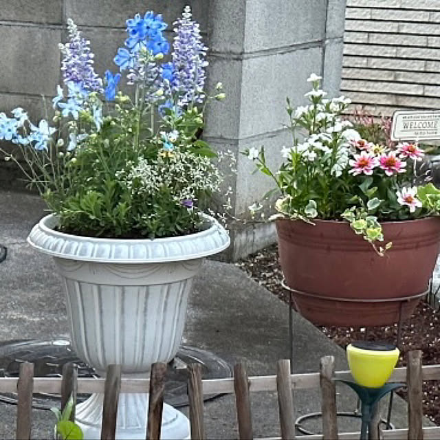 n_k6369さんの実例写真