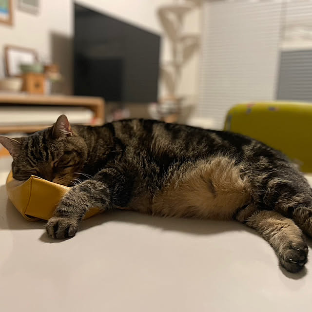 mikomaruさんの部屋