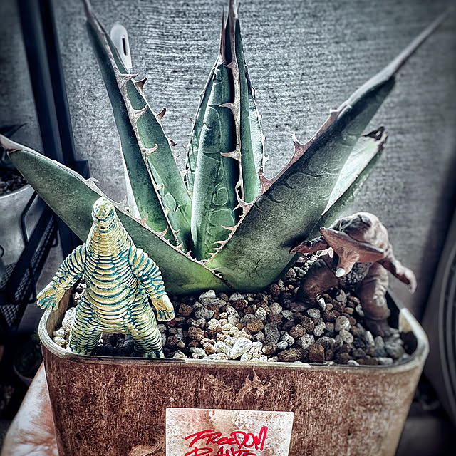 floydさんの部屋