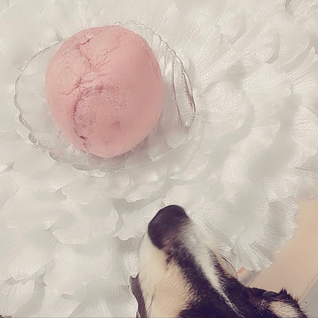 Ruiさんの実例写真