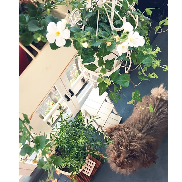 noelさんの実例写真