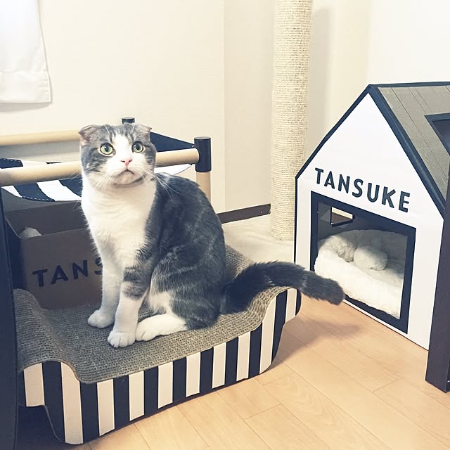 tansukeさんの実例写真