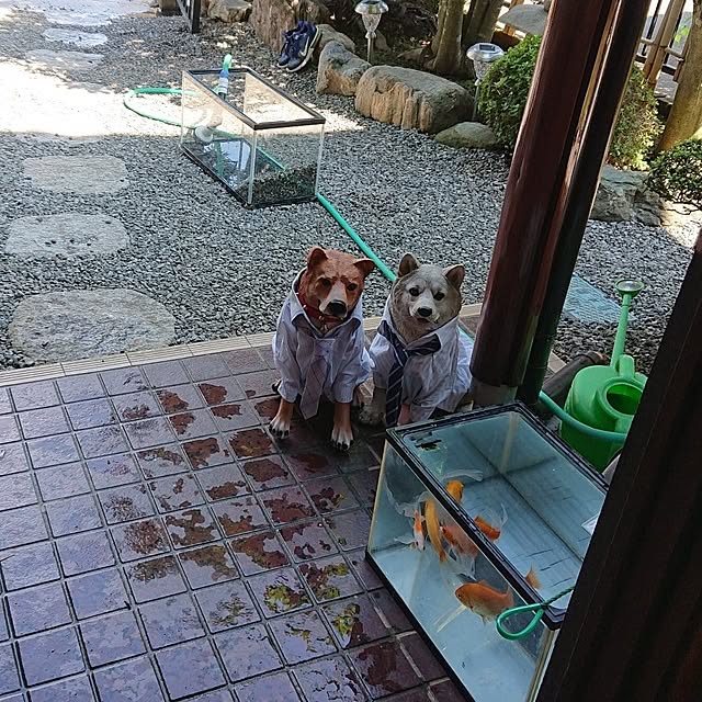 NOAHさんの部屋