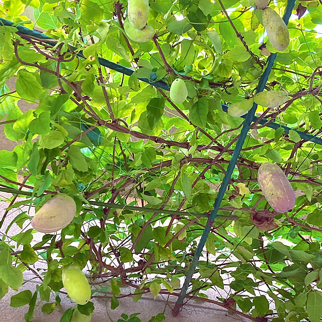 takakoさんの部屋