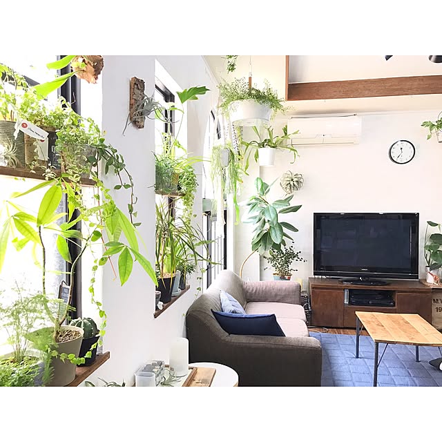 kiki_nekkoさんの実例写真