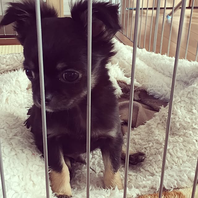 hiroさんの実例写真