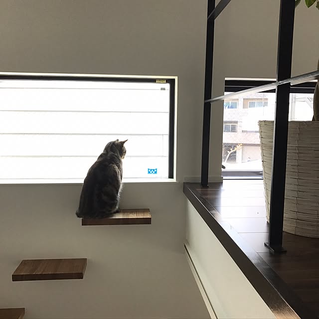 kaedeさんの実例写真