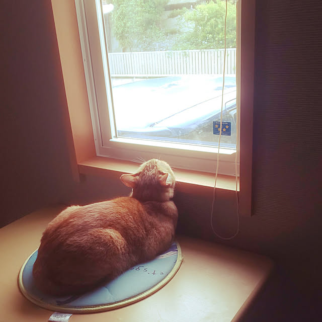 inakojiさんの実例写真