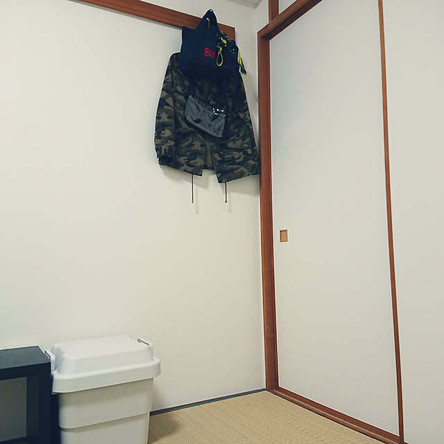 Ankylosaurusさんの実例写真