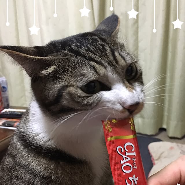 kimikimiさんの実例写真