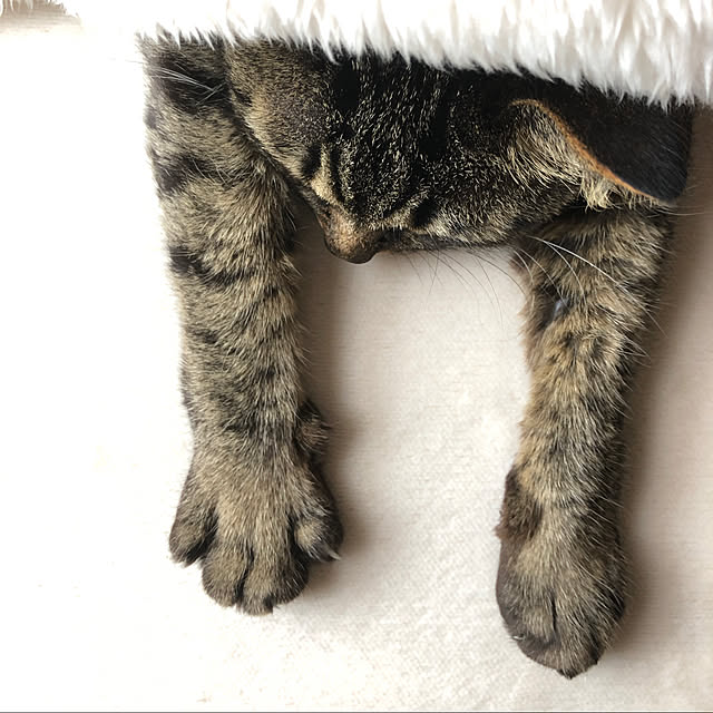 weさんの実例写真