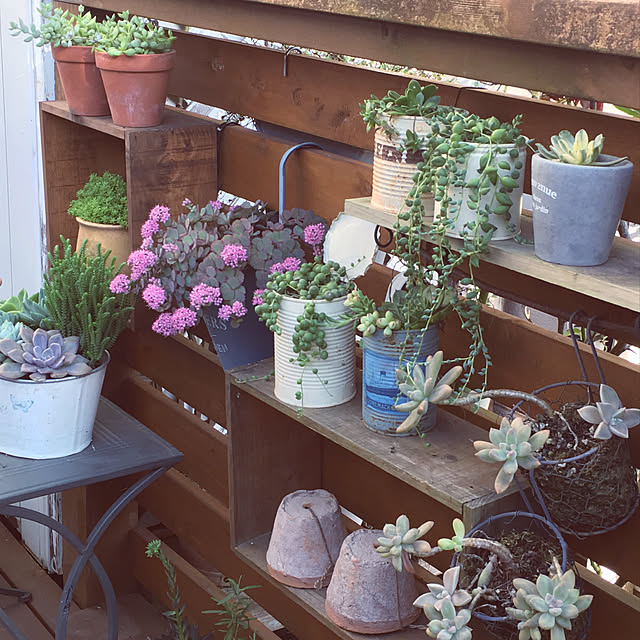 癒しの空間/玄関/入り口/ウッドデッキ/いいね！ありがとうございます♪/my garden...などのインテリア実例 - 2019-10-28 17:33:16