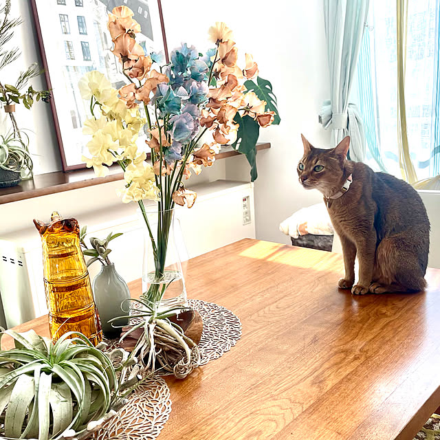 sakineko528さんの実例写真