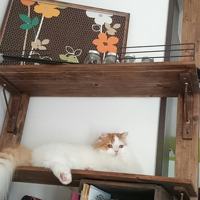 1ldksさんの実例写真