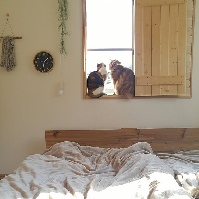 l..tomesanさんの実例写真