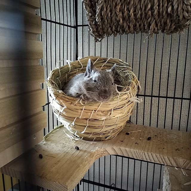 minmiさんの実例写真
