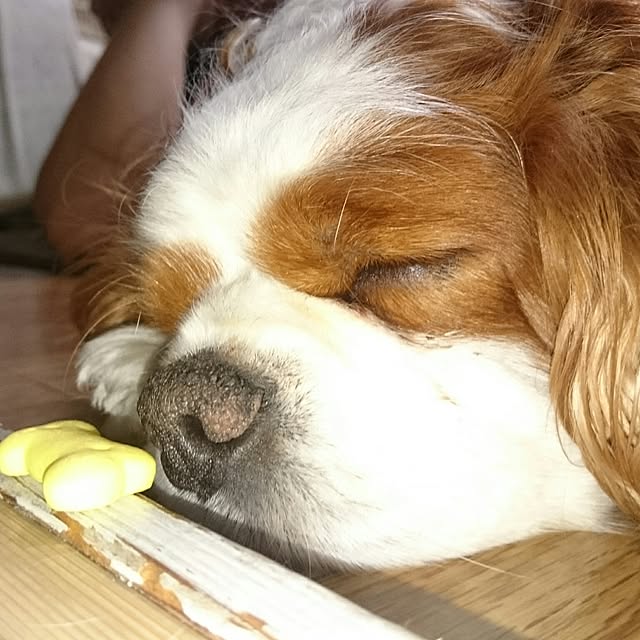 pikuminさんの実例写真
