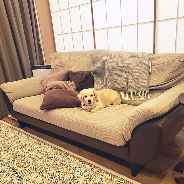 chihaさんの実例写真