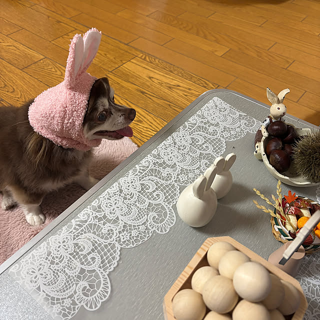 chIoeさんの実例写真