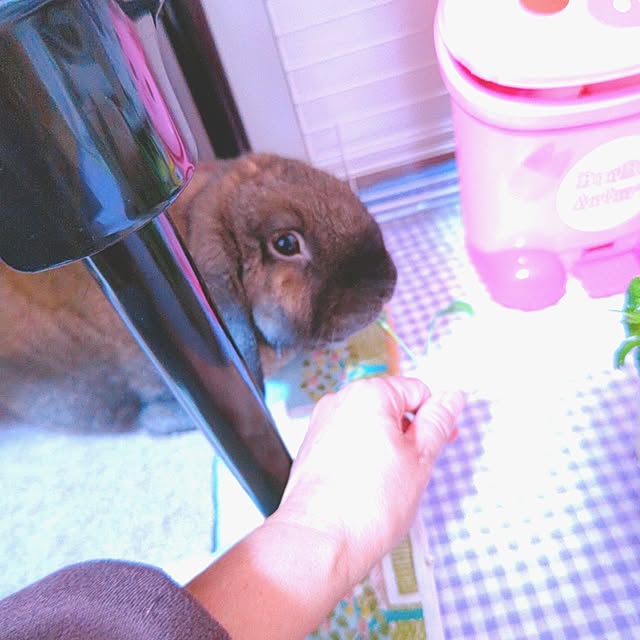 mariaさんの部屋