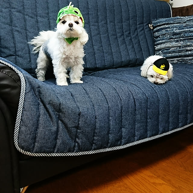 pochan-.-さんの実例写真