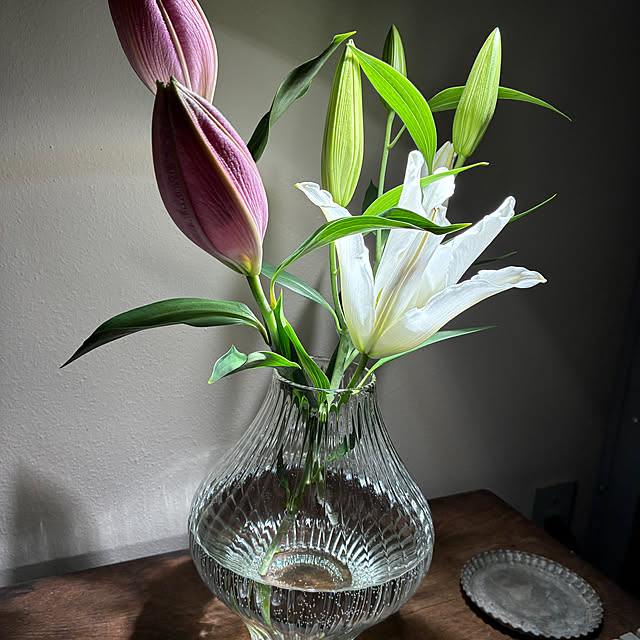 mkk8739hanasakuさんの実例写真