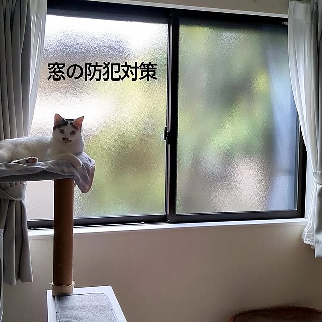 kumiさんの実例写真