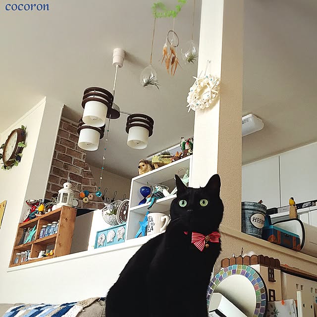 cocoronさんの実例写真