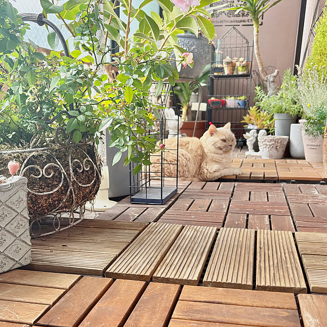 naokoさんの部屋