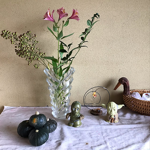 aoinokimiさんの実例写真