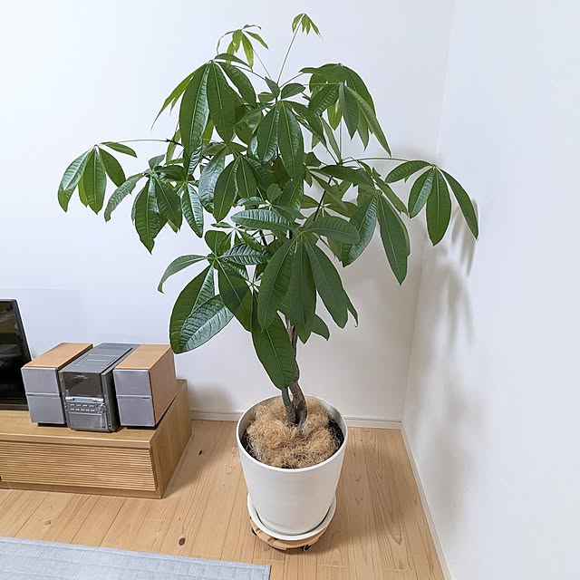 PEROさんの実例写真