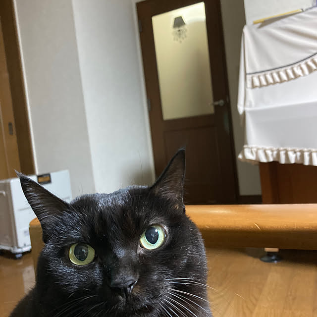 kirakirahoshiさんの実例写真