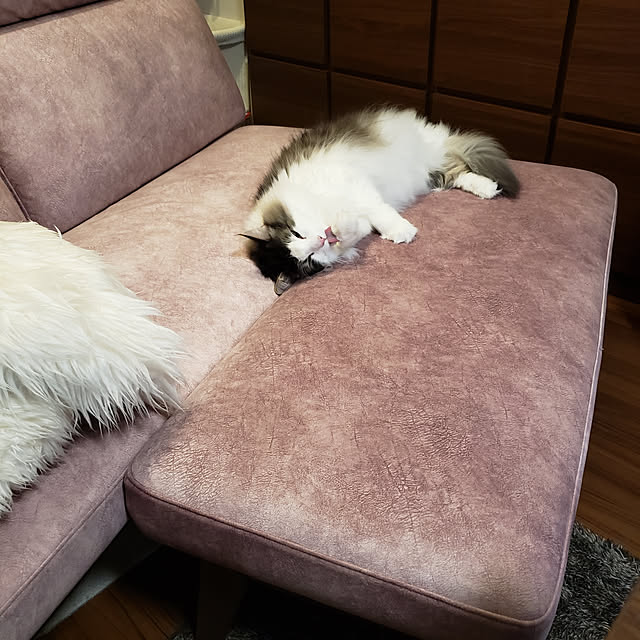 mofさんの実例写真