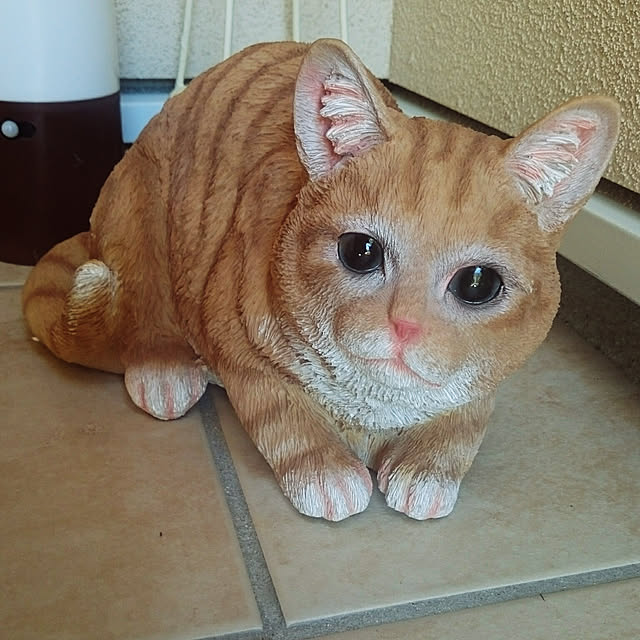 lilyさんの実例写真