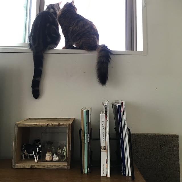 mikomaruさんの実例写真