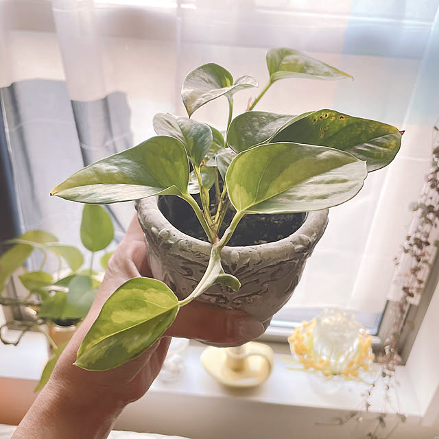 akiko-ovさんの実例写真