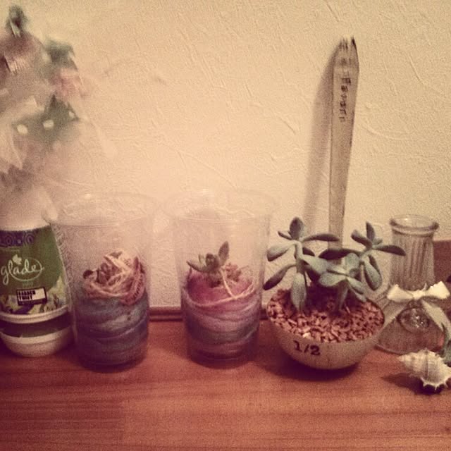 naoさんの実例写真